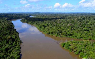 Historique : l’Amazonie reconnue sujet de droits en Colombie
